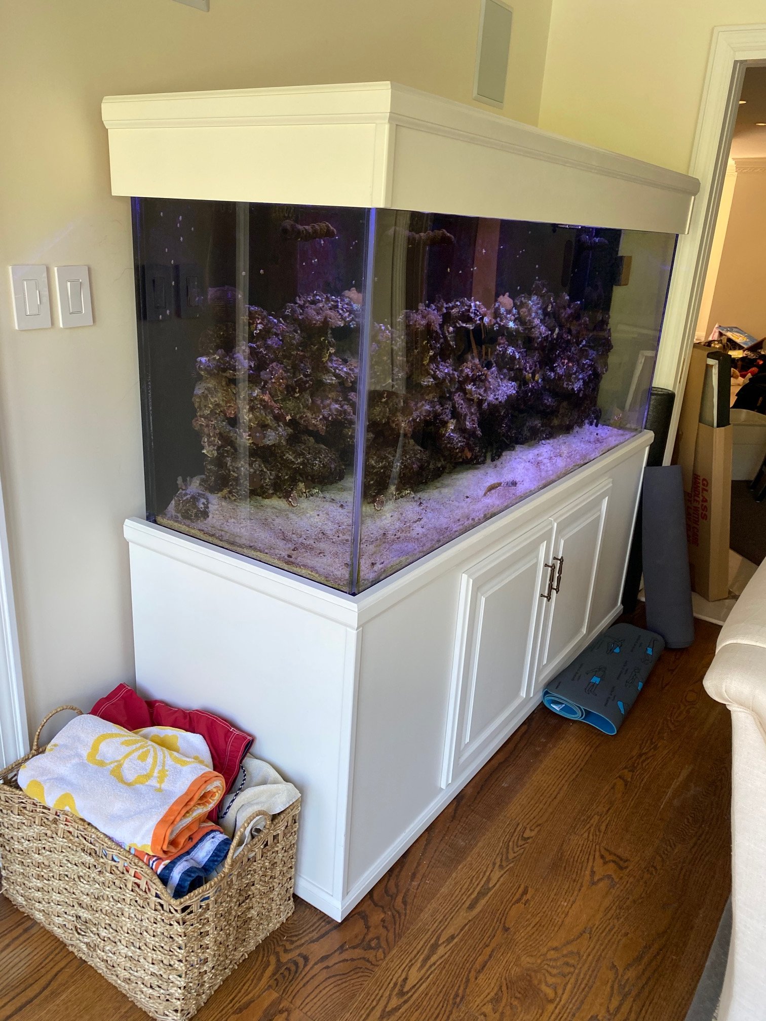 250 Gallon Acrylic Tank for Sale (about 11 years old)